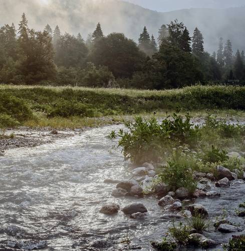 Истоки реки Белой
