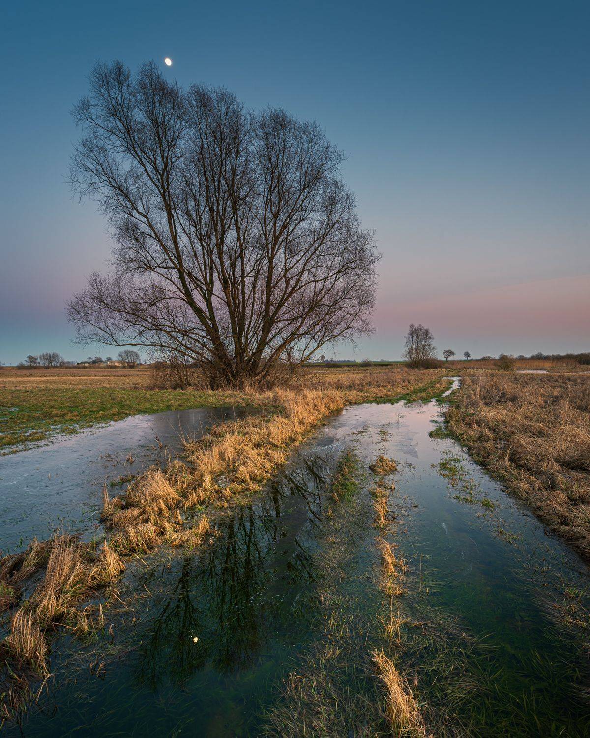 , Mariusz Jeruzalski