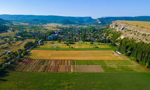 Красный мак Крым