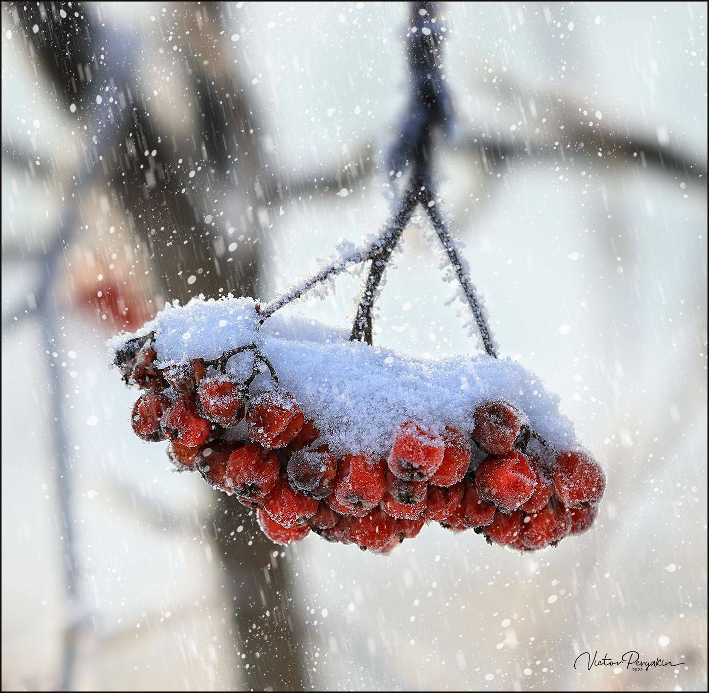 , Виктор Перякин