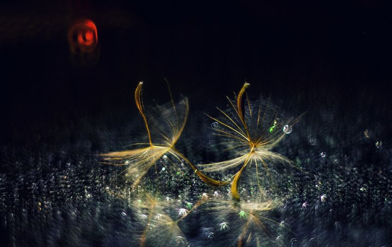 * * * фото превью