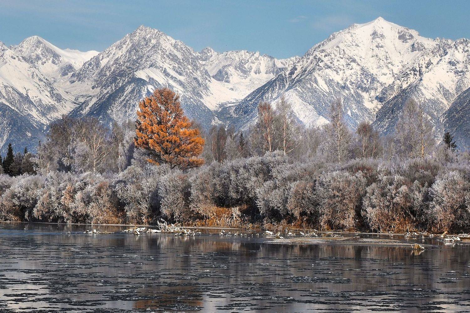 , Александр Попов