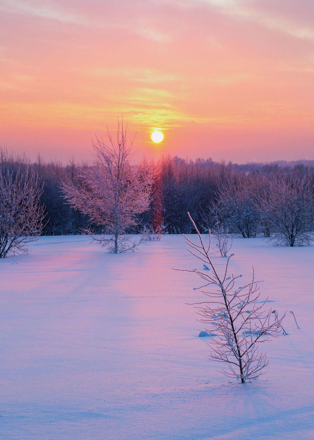, Андрей Хаймин