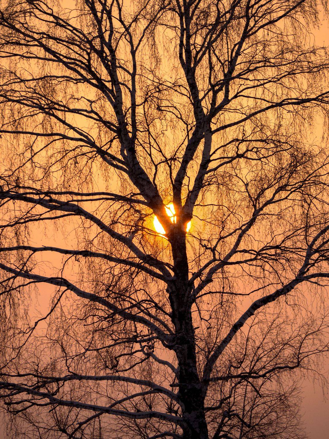 , Андрей Хаймин