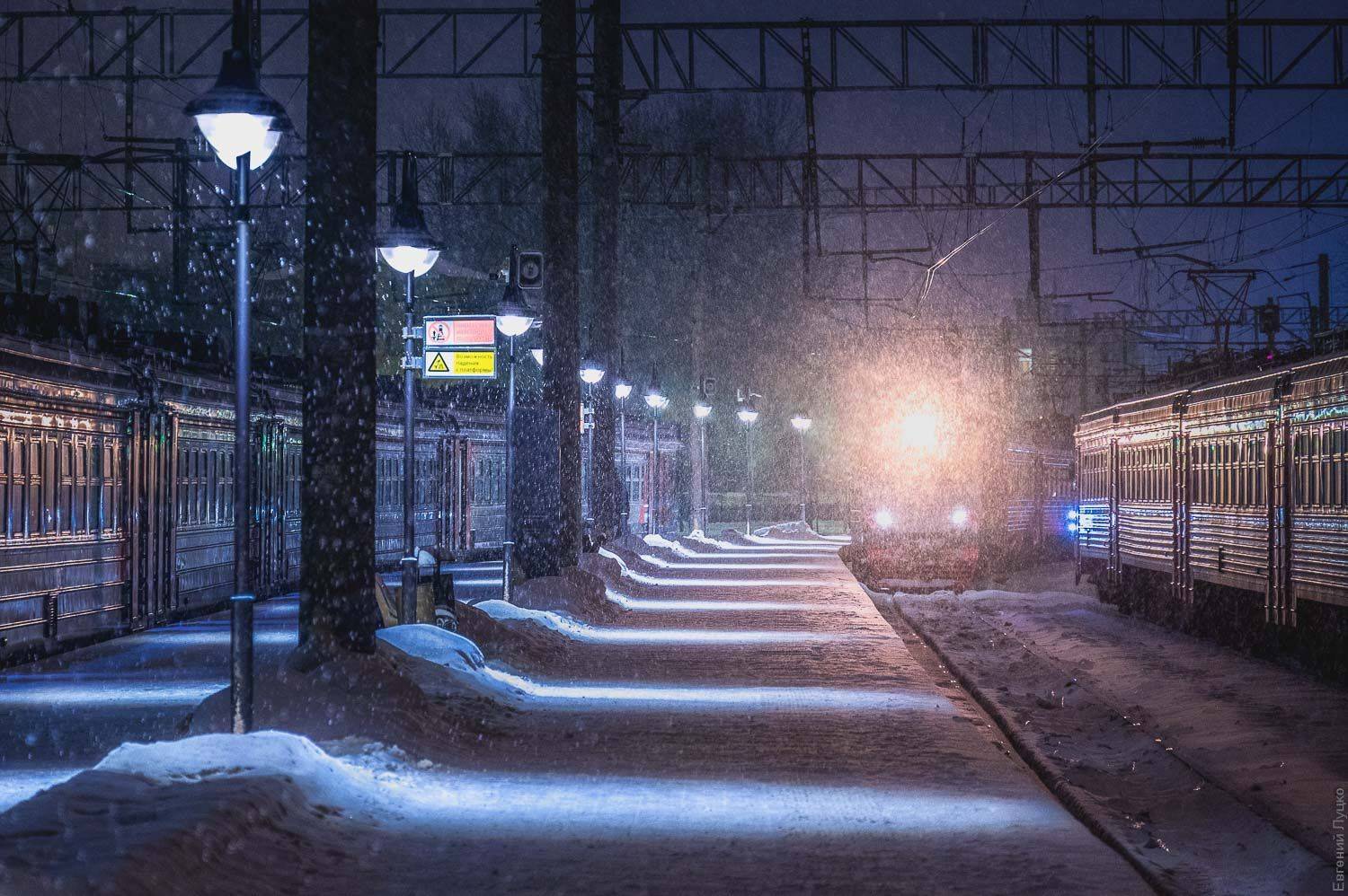 , Евгений Луцко