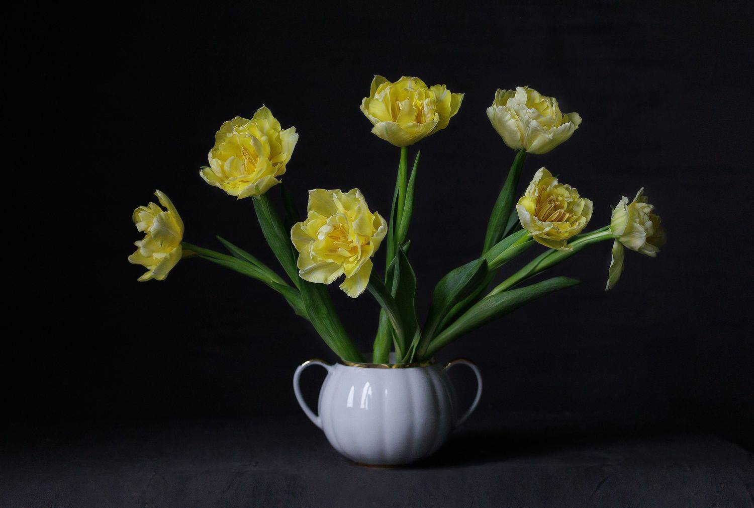 , Светлана Ерохина