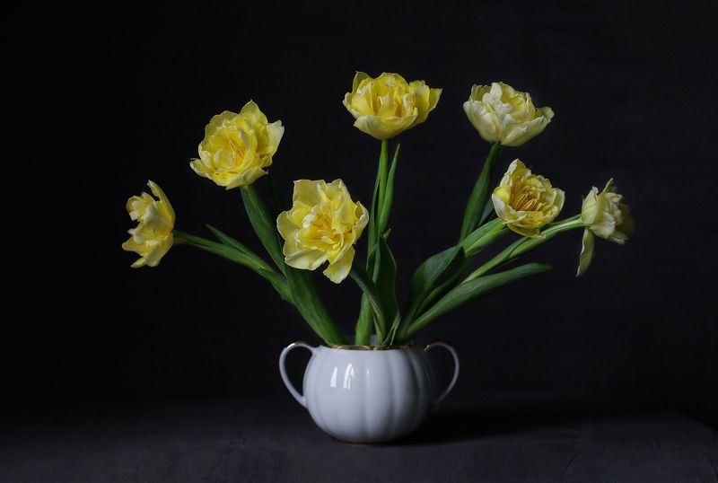 Тюльпаны фото превью