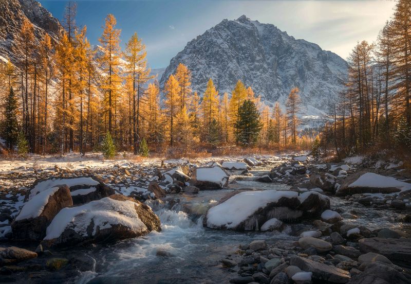 алтай,горы,осень осенью в Актру фото превью