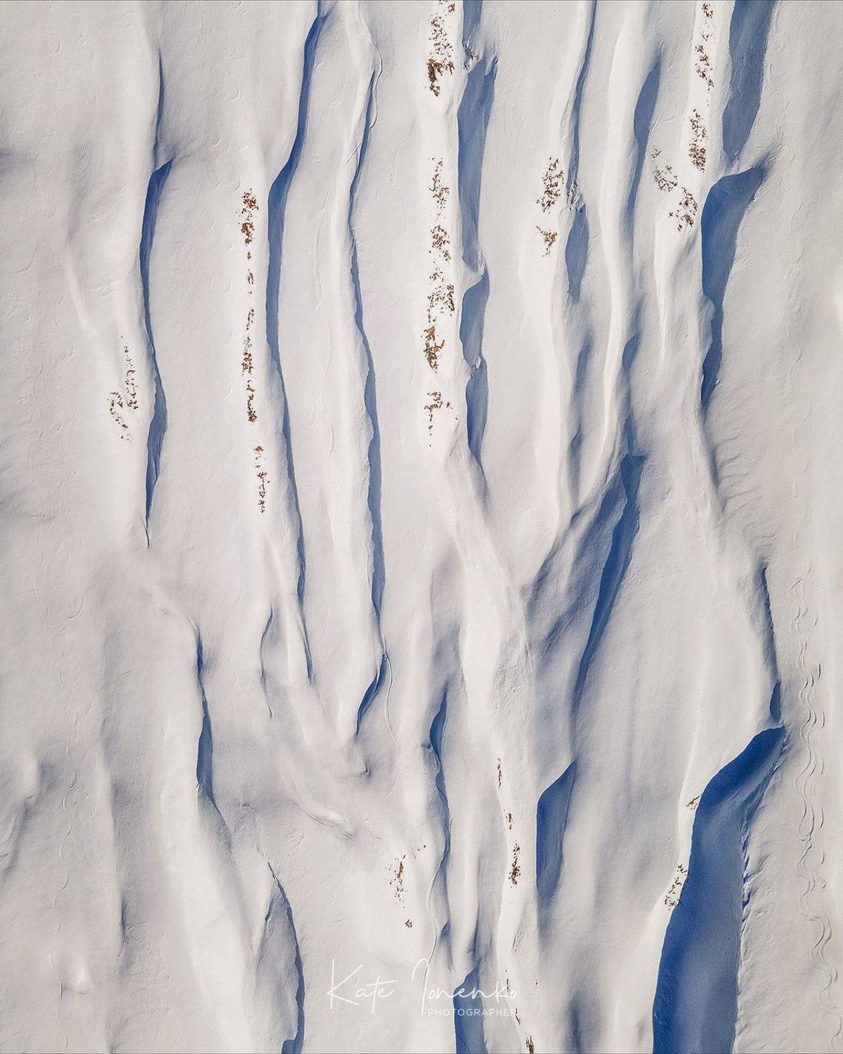 , Екатерина Ионенко