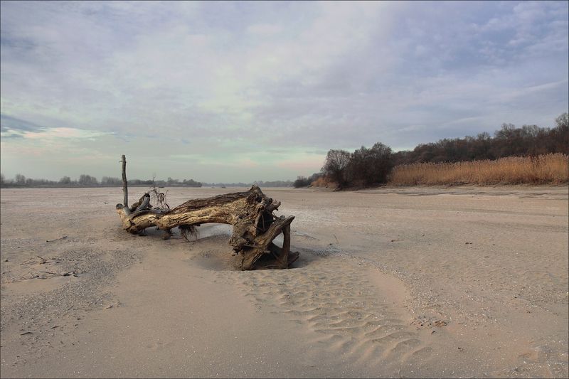 Крупная рыба фото превью