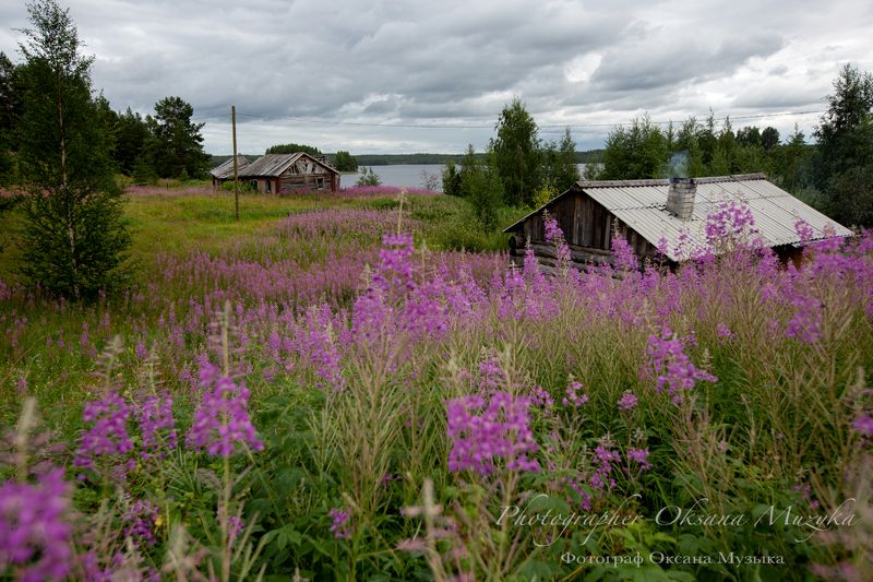Лето в Карелии фото превью
