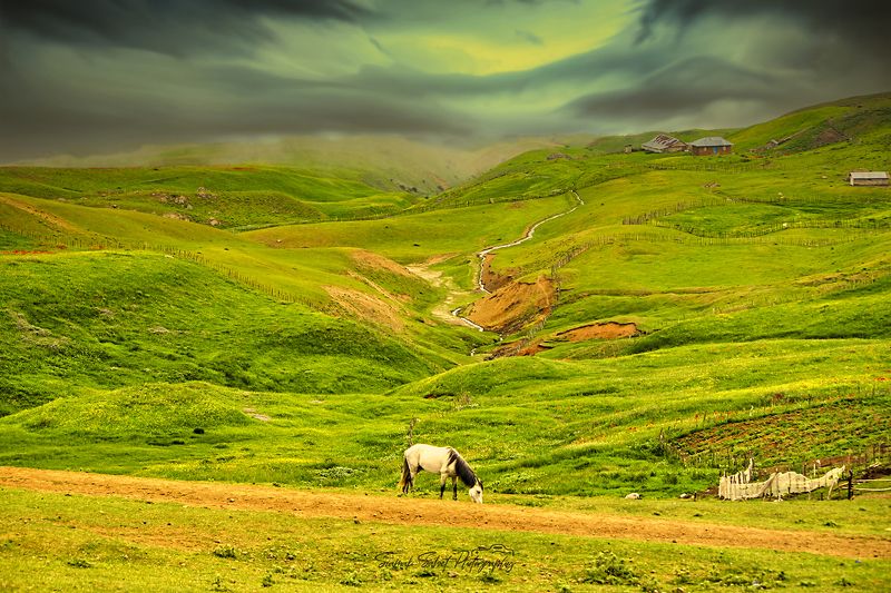 Golden Time фото превью