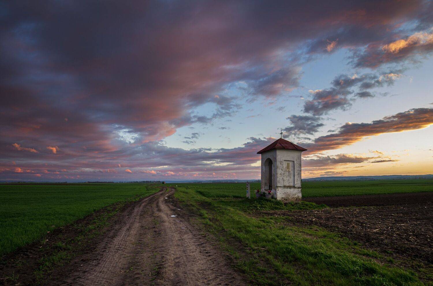 ,  Mirosław Pruchnicki