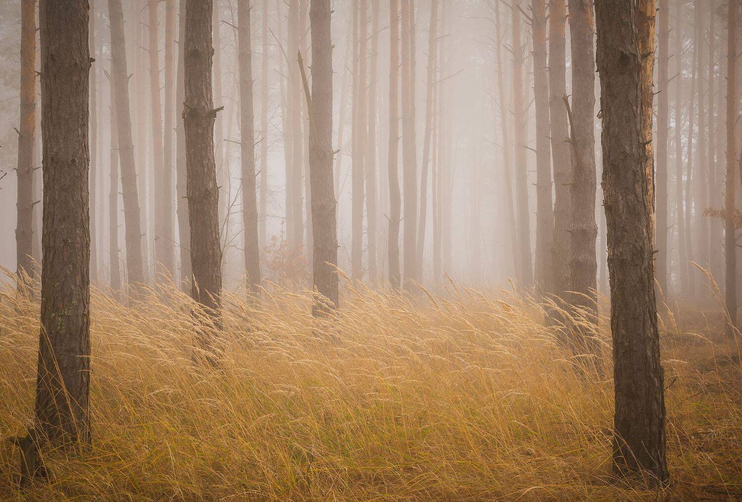 , Захаров Дмитрий
