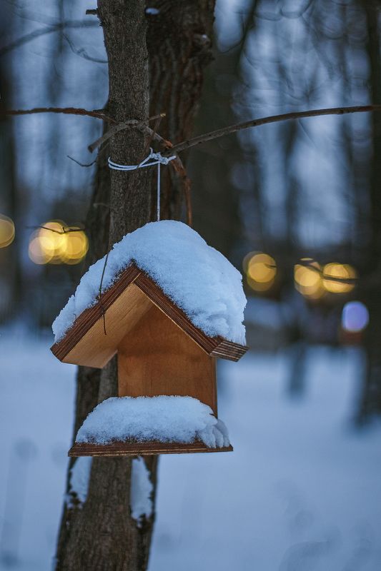 canon 50, beautiful, красивый, moment, момент, city, городской, evening, вечерний, park, парк, winter, зима, snow, снег, bokeh, боке, домик, house, Летнее кафе для птичек... фото превью
