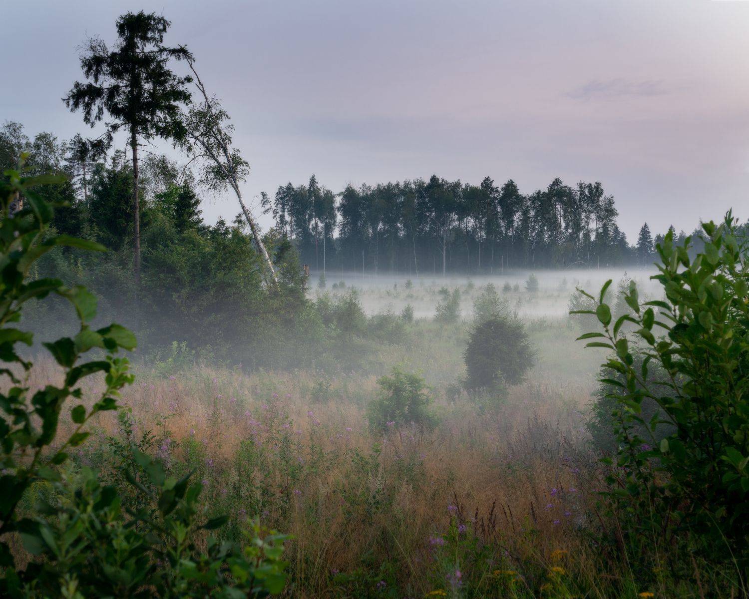 , Наталья Лабодина
