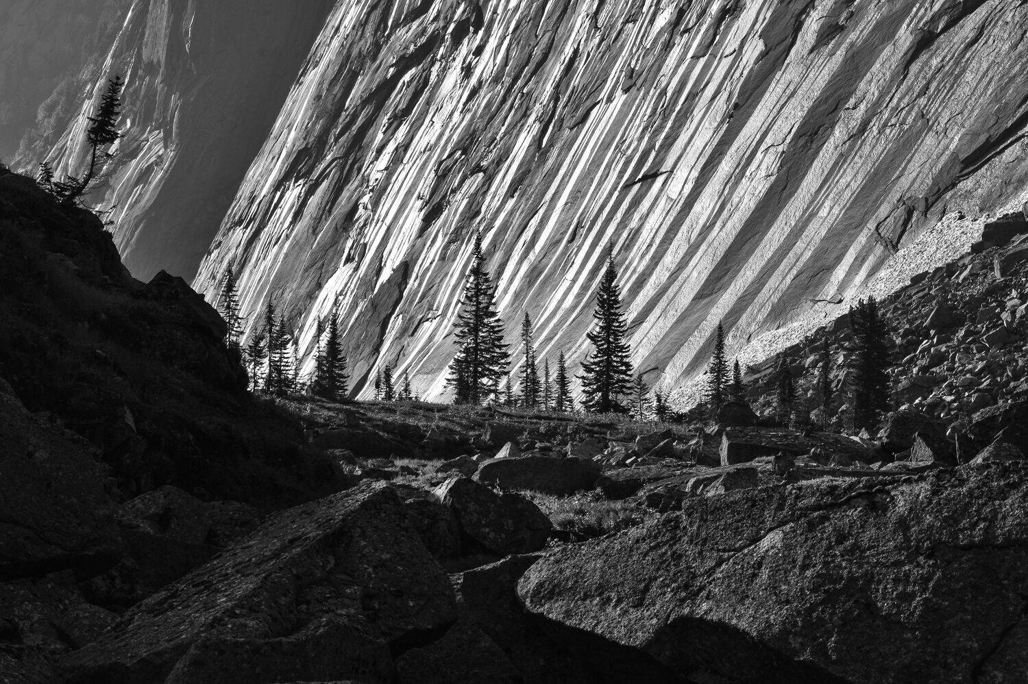 россия, саяны, ергаки, скалы, лето, утро, камни, ели, геометрия, Холзаков Вячеслав