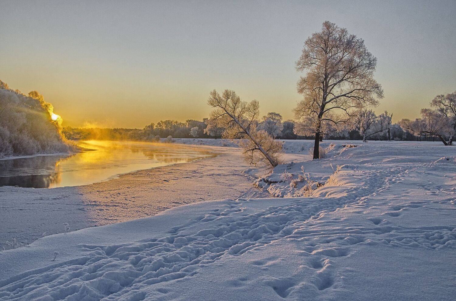 природа. туман. утро, Александр Березуцкий