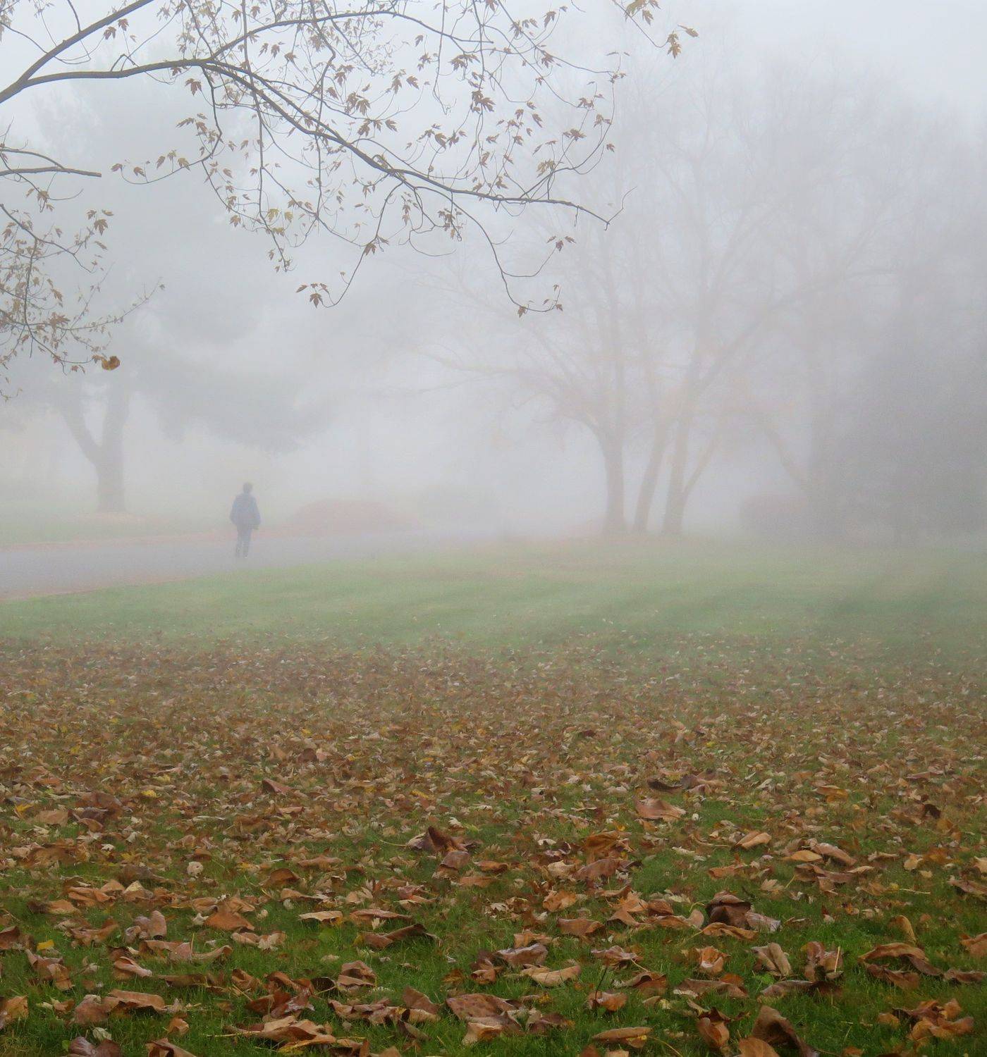 perspective, isamonov