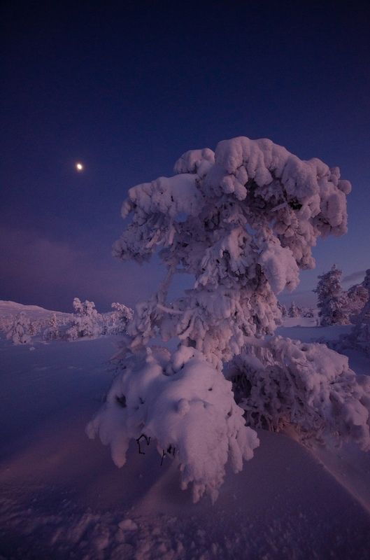 Кандалакша фото превью