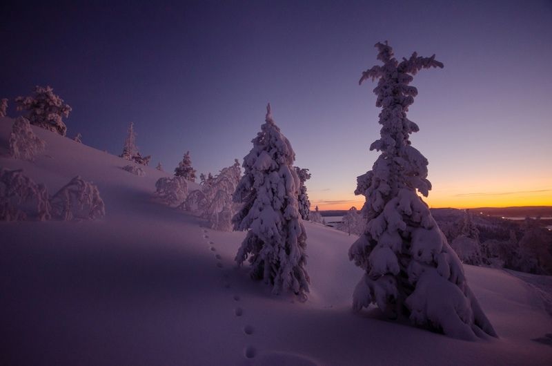 Кандалакша фото превью