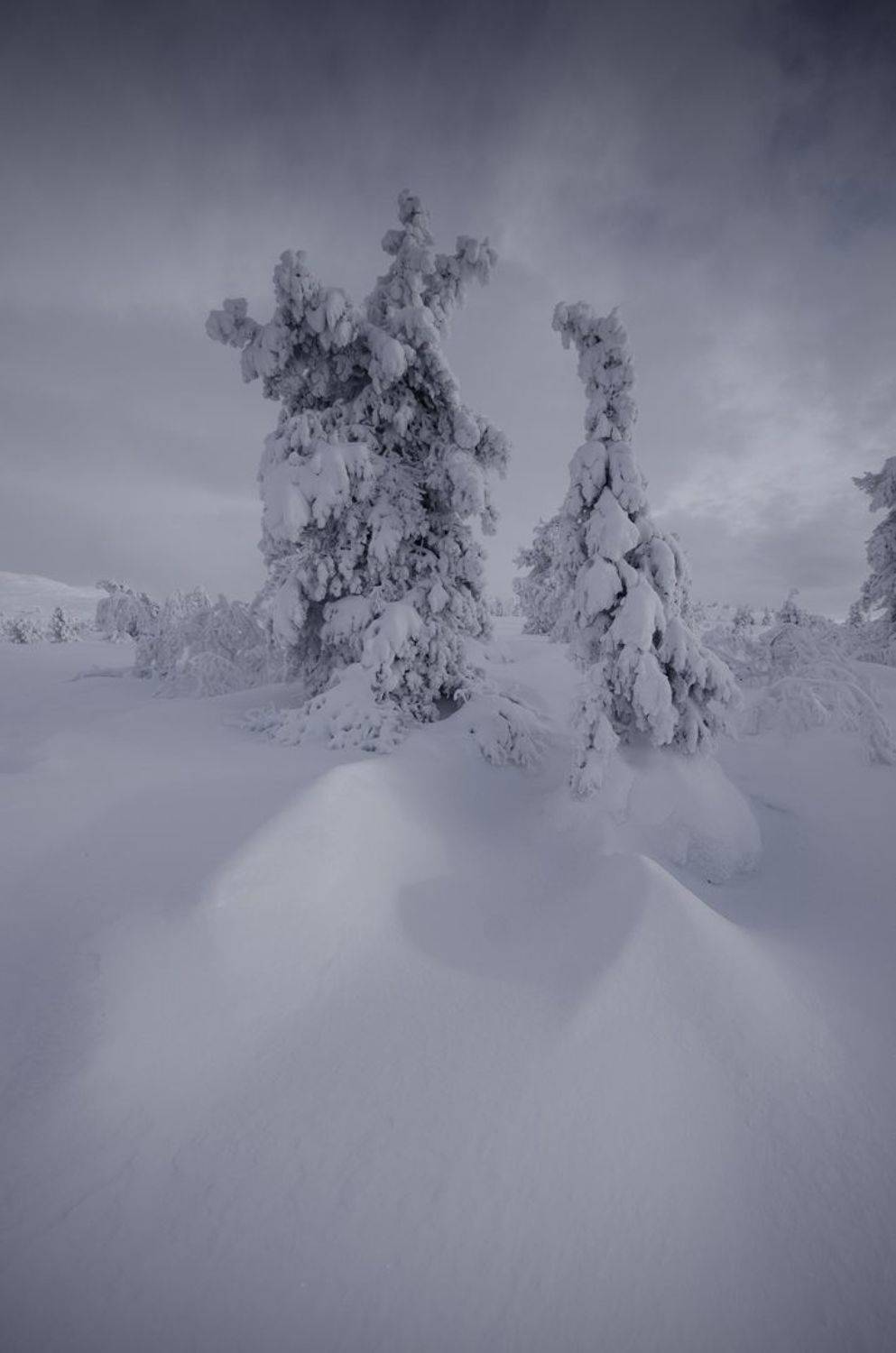 , Абрамов Денис