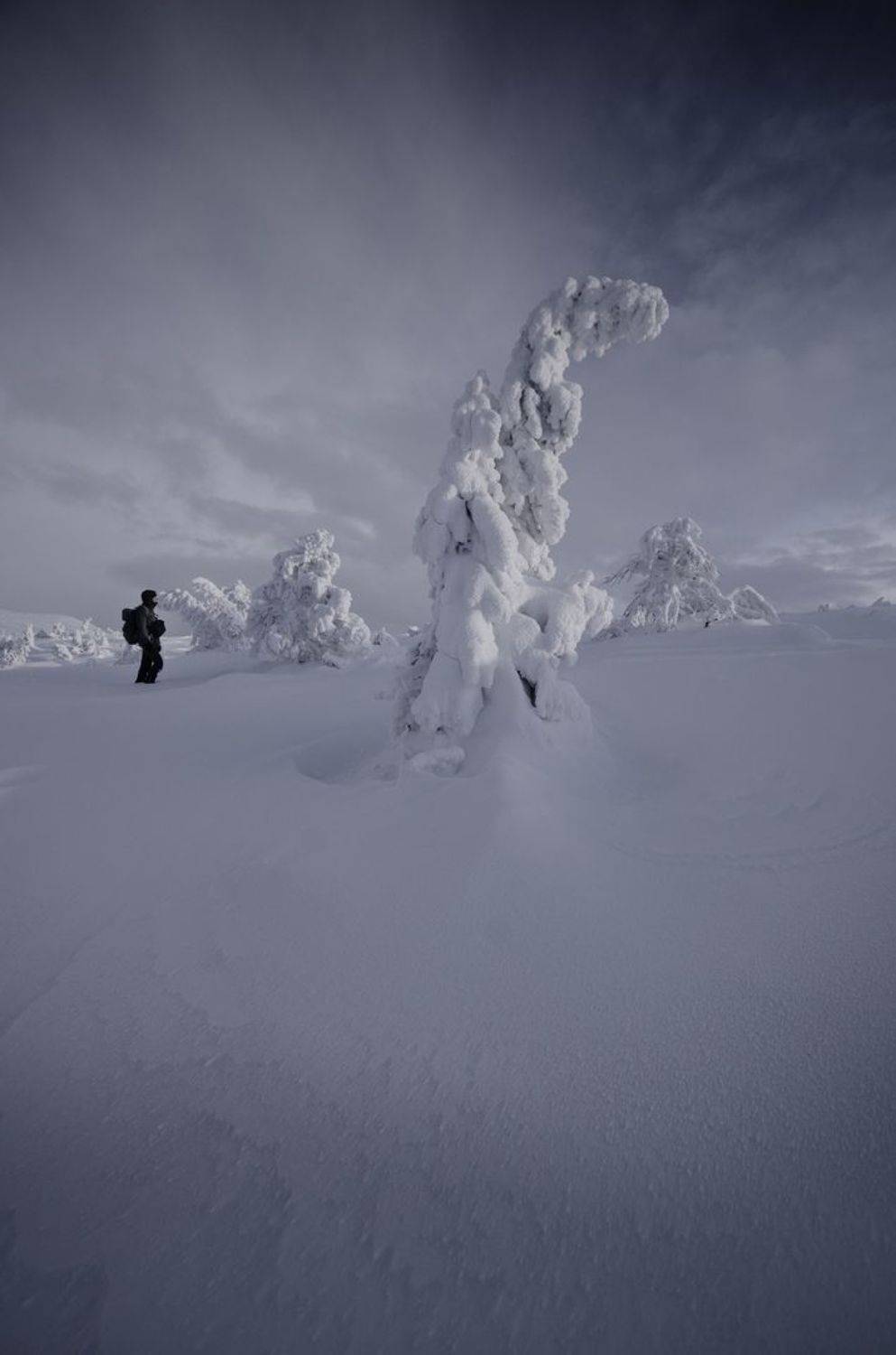 , Абрамов Денис