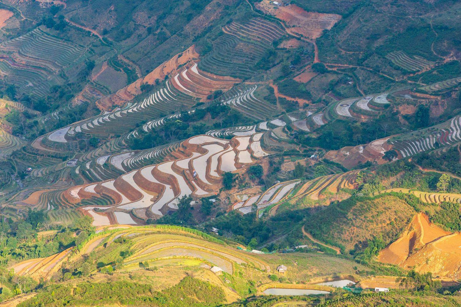 ,  Nguyễn Mạnh Đức