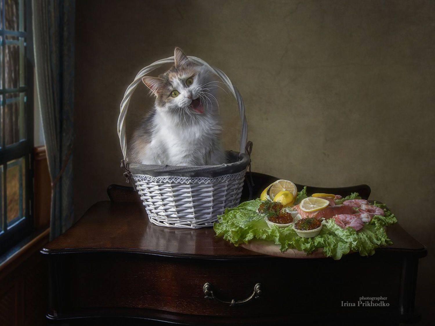 постановочное фото, домашние животные, питомцы, забавные котики, рыбные деликатесы, морепродукты, натюрморт, Приходько Ирина