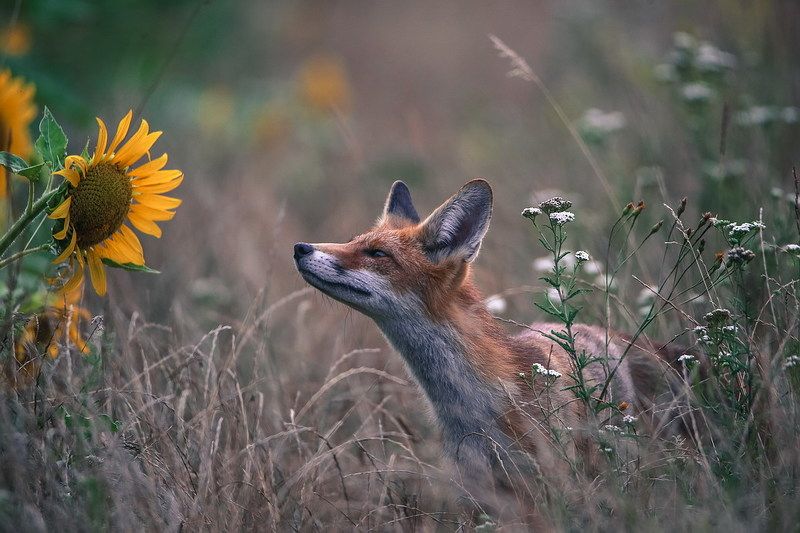 Любимый человек всегда пахнет вкусно фото превью