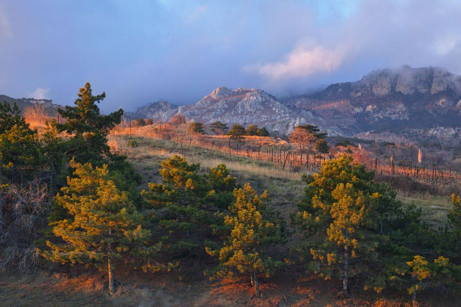 sigma sd quattro . crimea, Дмитрий Цыпляев