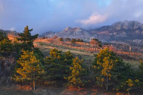Зимний Крым,Тёплый февраль.