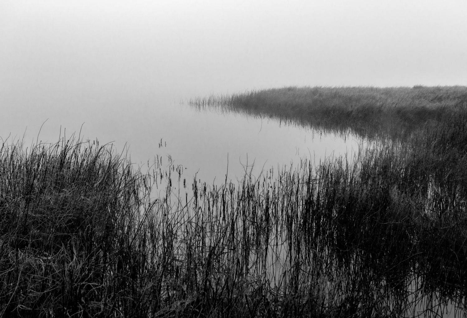 черно-белый пейзаж, Андрей Логвинович