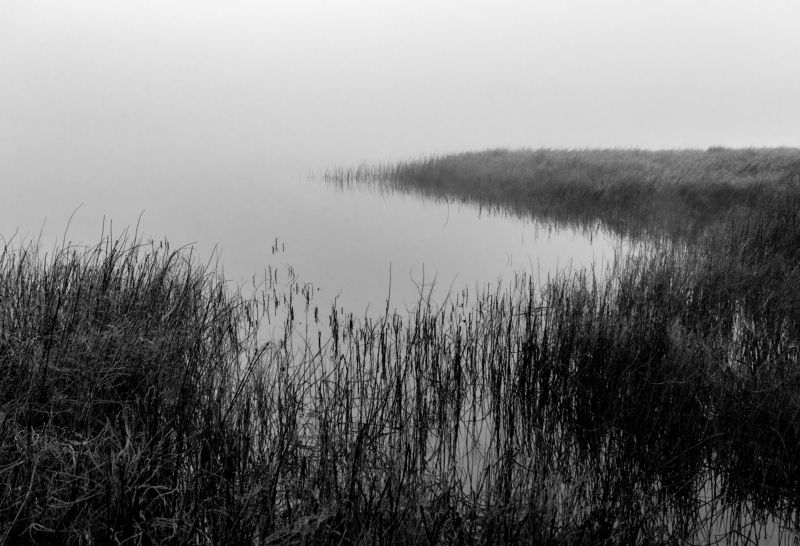 черно-белый пейзаж Озеро-водонакопитель руч. Озерное 1 фото превью