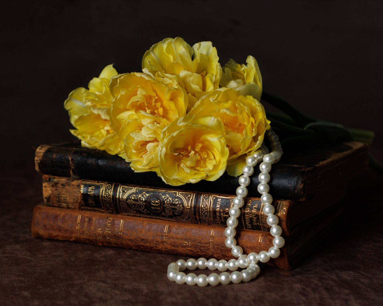 , Светлана Ерохина