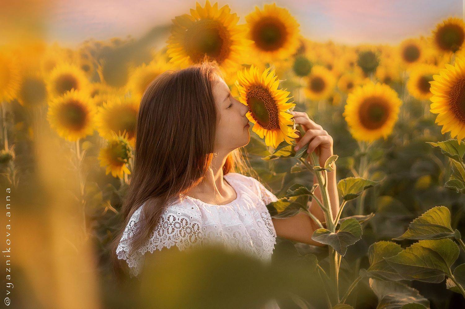 фотограф Лисичанск, летняя фотосессия, фотосессия на природе, Анна Вязникова, Лисичанск, фотограф Северодонецк, фотосессия с цветами, детский фотограф,  семейный фотограф, фотосессия в подсолнухах,, Анна Вязникова