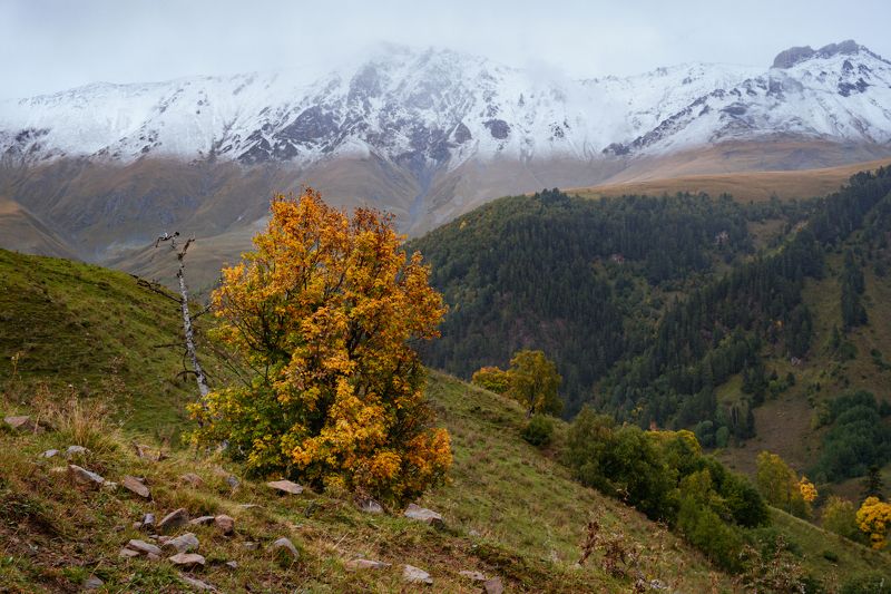 горы, осень, зима, снег Граница зимы фото превью