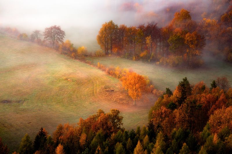 landscape,autumn,mountains,canon An Autumn\'s Tale... фото превью