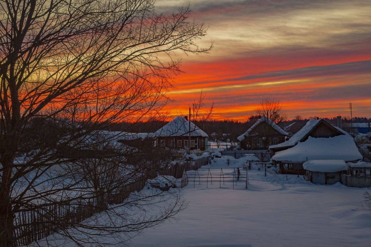 февраль утро мороз свет восход, Дмитрий Алексеев