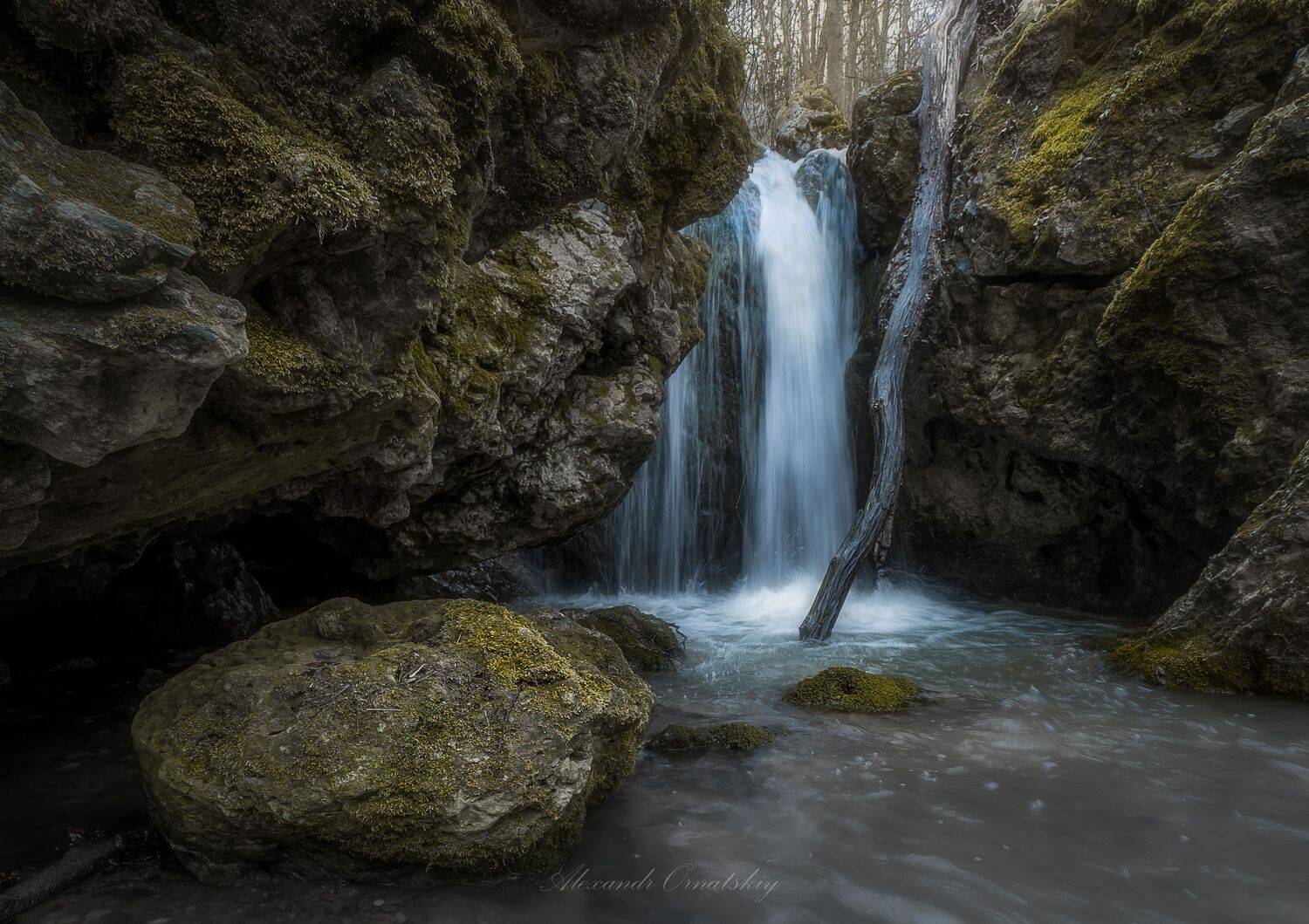 , Александр Орнатский
