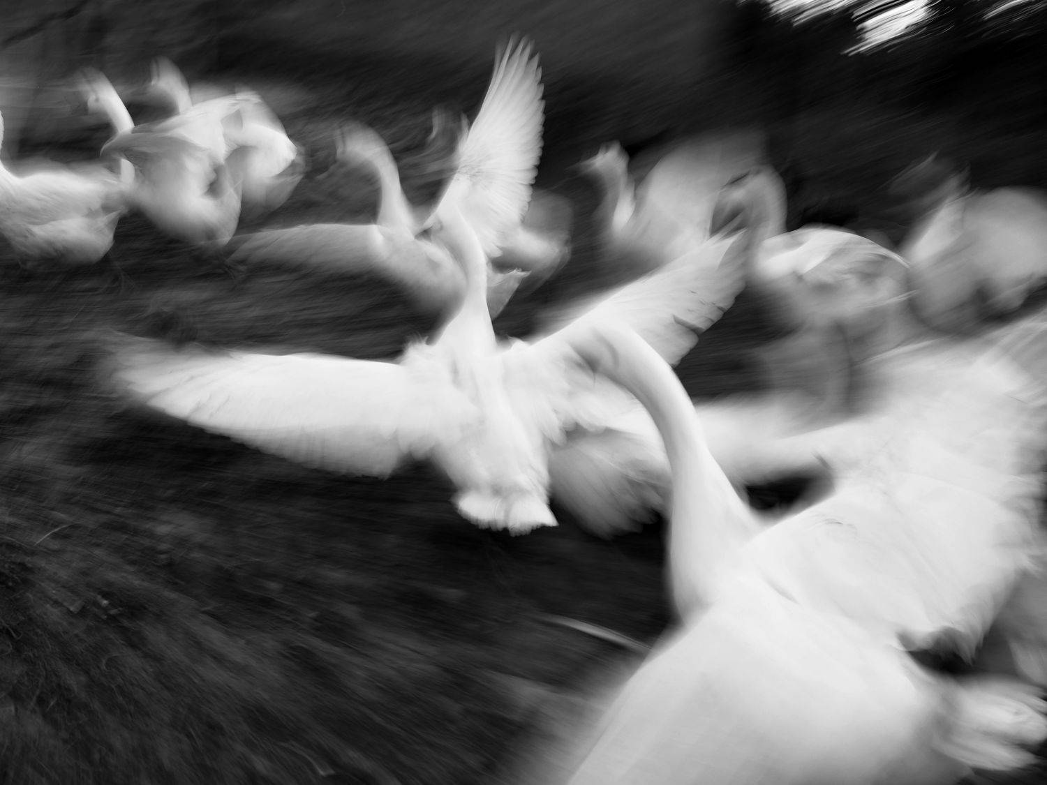 , Игорь Юркивский