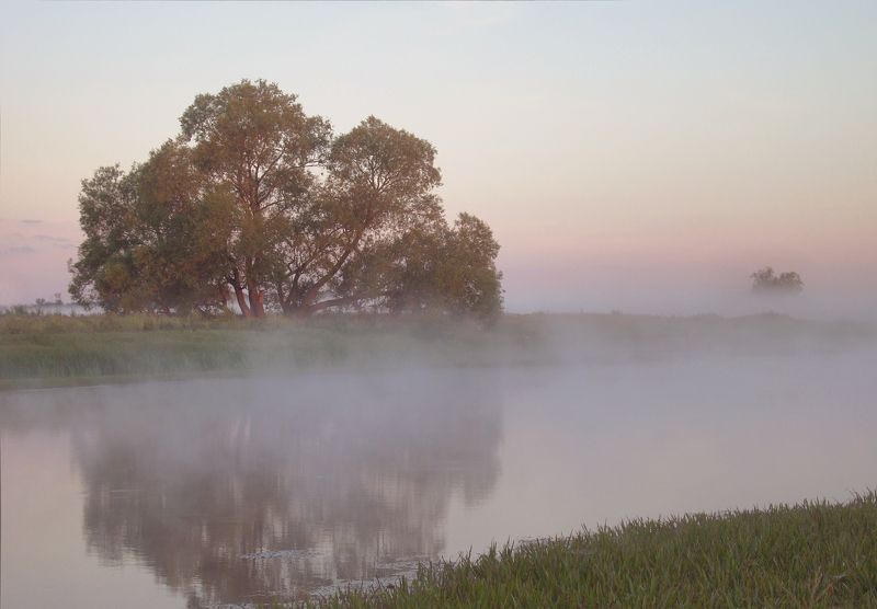 Туманное утро фото превью