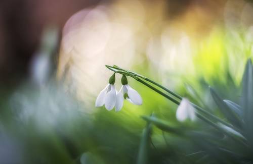 Самые долгожданные