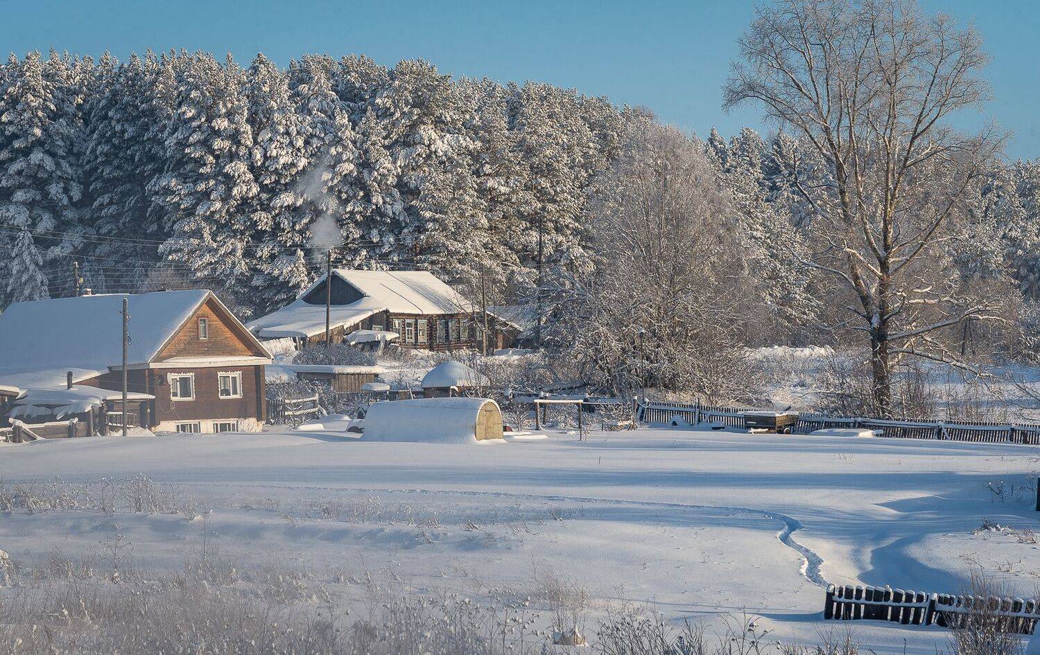 , Алексей Шуплецов