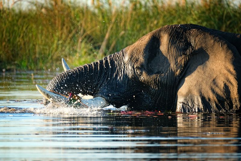 Lunch time фото превью