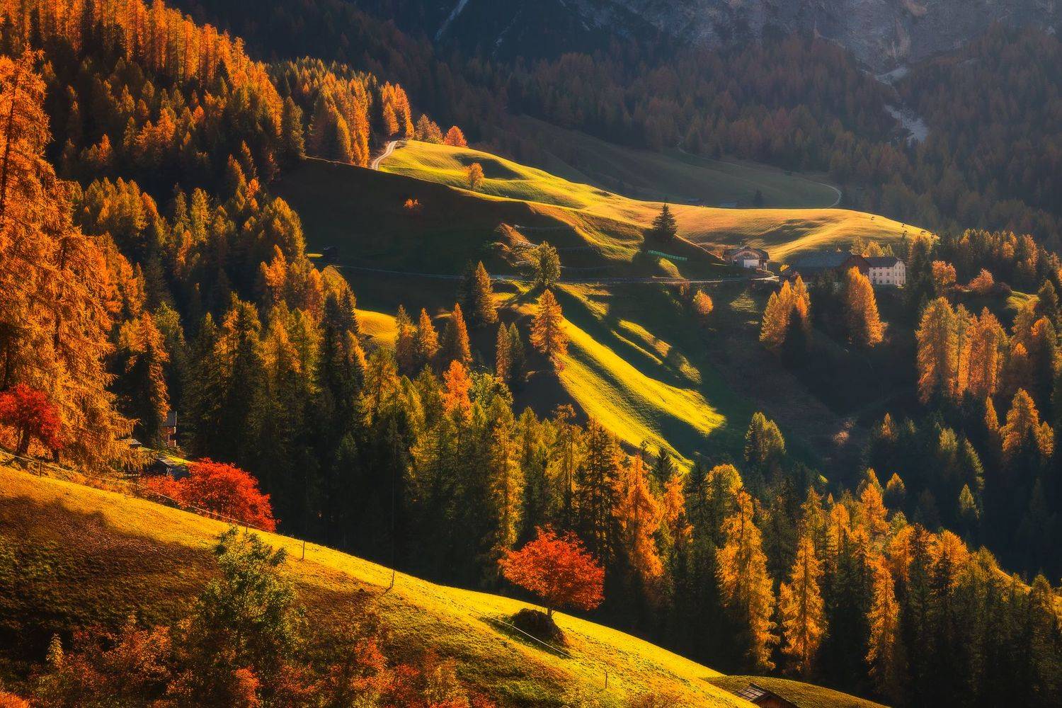 , Pawel Uchorczak