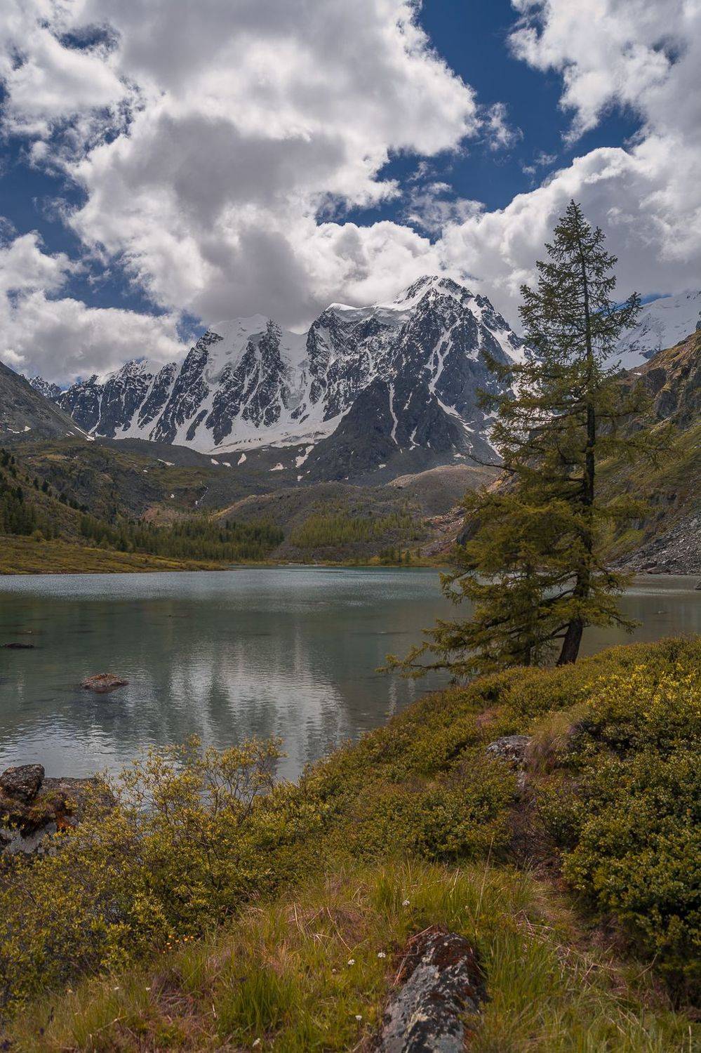 россия, горный алтай, Андрей Поляков