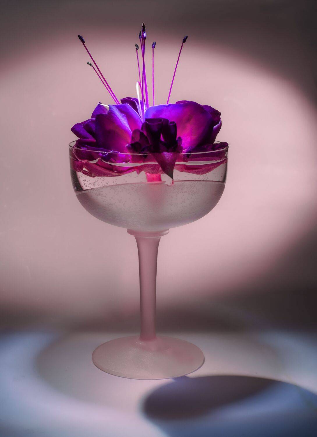 , Черновол Валентин