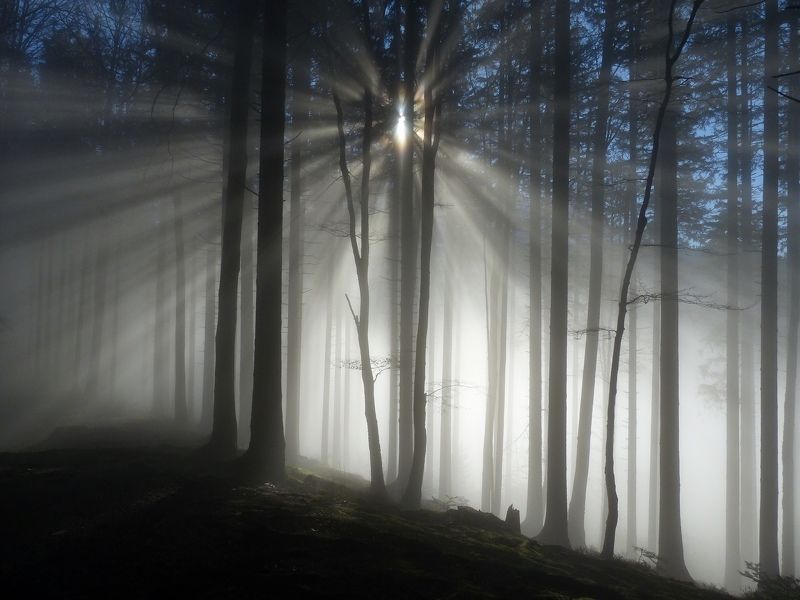 Озарение фото превью