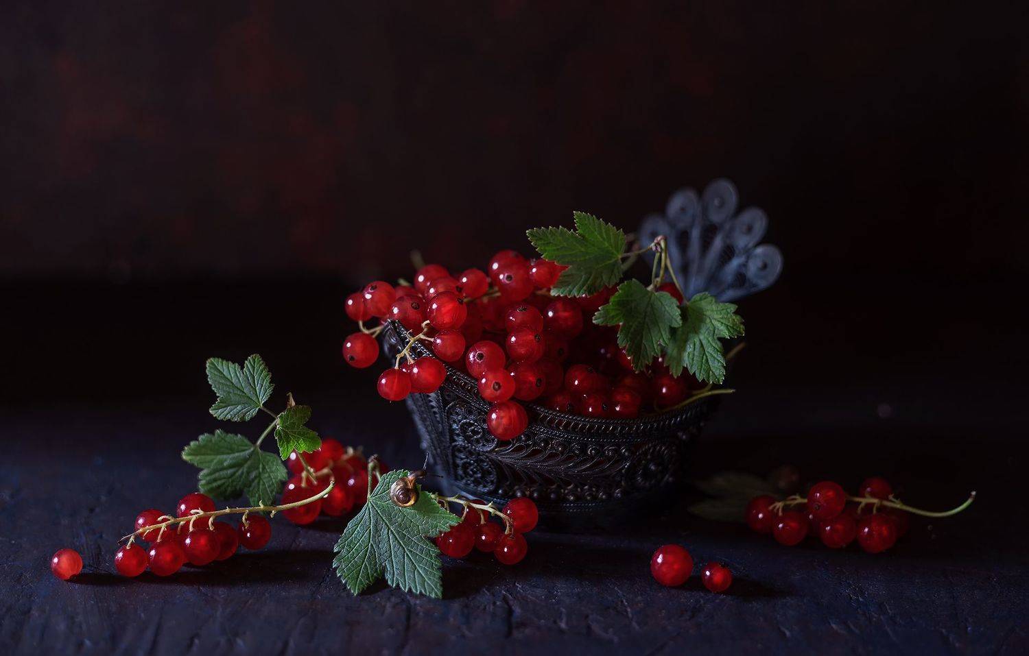 , Елена Зимацкая